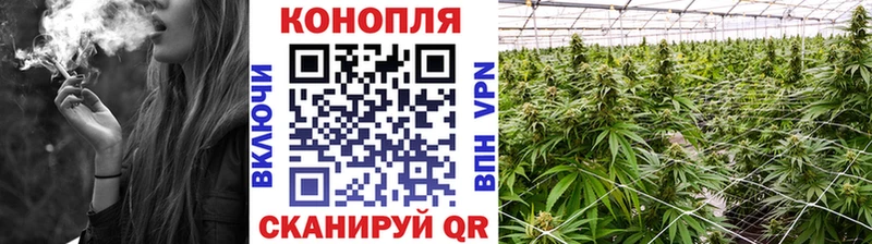 Марихуана план  Купить где  Дмитровск 
